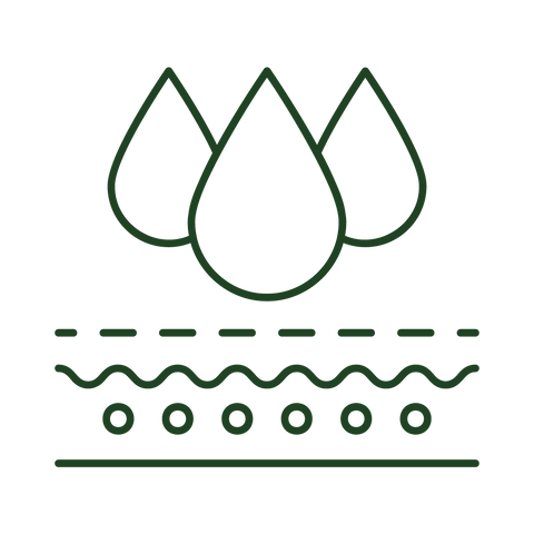 The Glow & Hydrate Kit