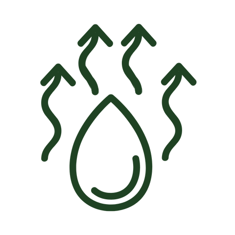 The Firm & Hydrate Duo