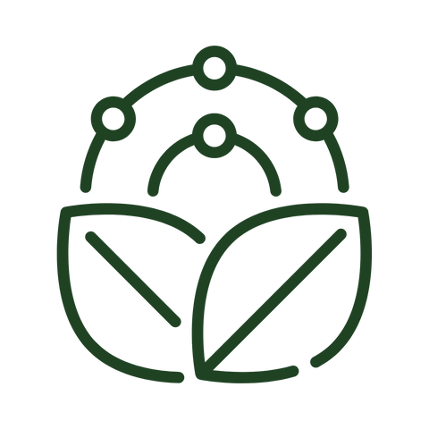 5% Niacinamide Daily Moisturizer 50ml